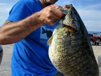 8-pound, 4-ounce Smallmouth ties NY record!