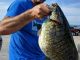 8-pound, 4-ounce Smallmouth ties NY record!