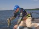 As Water Starts Cooling, Bass Follow Baitfish into Shallow Waters