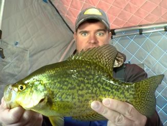 Backcountry Manitoba Crappie