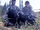 Charging Bruin From The Brush On A Elk Hunt