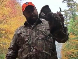 How to field dress a Ruffed Grouse Partride, easy and clean