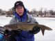 Ice Fishing For Catfish With Ice Team