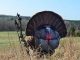 NEW FANATIC XL FROM MONTANA DECOY