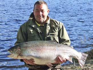 New British Record Rainbow Was an Escapee