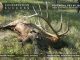 Potential New Archery World's Record Typical American Elk