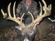 Pure Ted Nugent - He Got His Buck - 191 Inch Monster