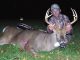 QDMA - 8 Tips for Beating Buck Fever