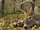 QDMA Offering Six-Month Internship in Education/Outreach Department