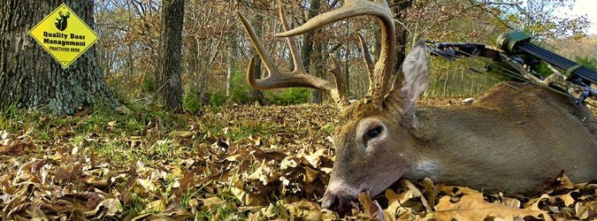 QDMA Offering Six-Month Internship in Education/Outreach Department