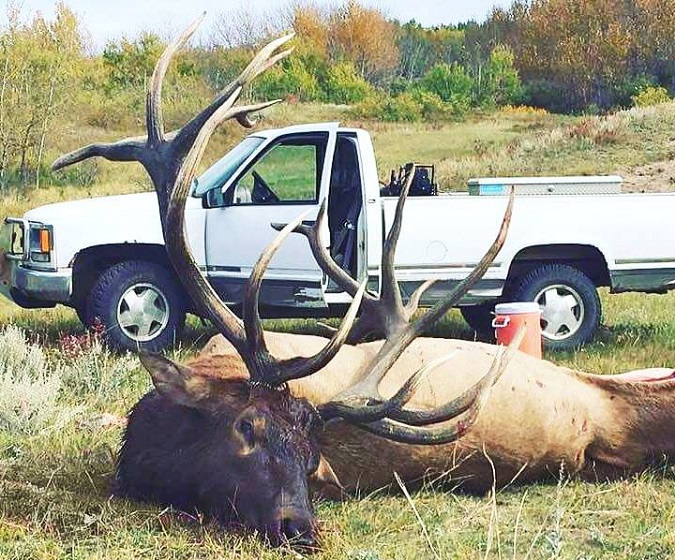 Record Saskatchewan Non-Typical American Elk