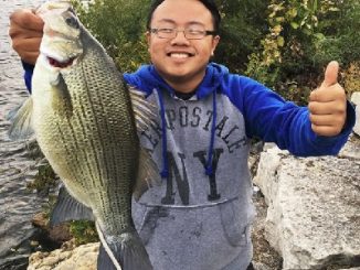 St. Paul angler catches state record white bass in Vadnais Lake