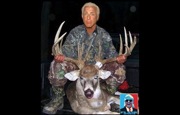 The Nature Boy Ric Flair's 2016 Buck