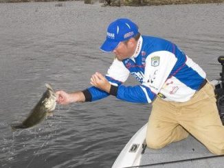 Tournament Pro Clark Reehm Likes Floating Jerkbaits for Cold Water Bass