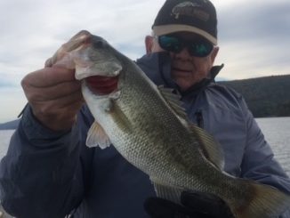 Winter Locations For Big Largemouth