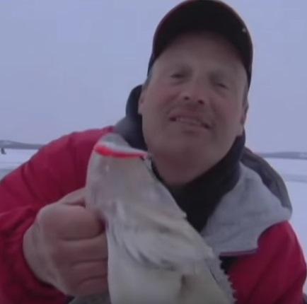 A Fishing Catching Ice Lure - Salmo Chubby Darter