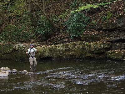 Bay Journal - Federal protection sought for Savage River