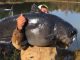 Massive 112-pound catfish caught in NC