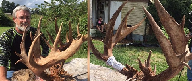 Missouri archer harvests 36-point buck