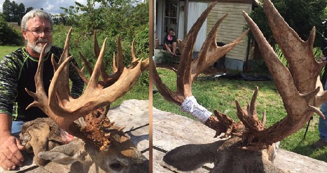 Missouri archer harvests 36-point buck