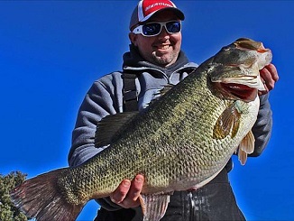 More States Look to Grow Trophies With Florida-Strain Bass 2