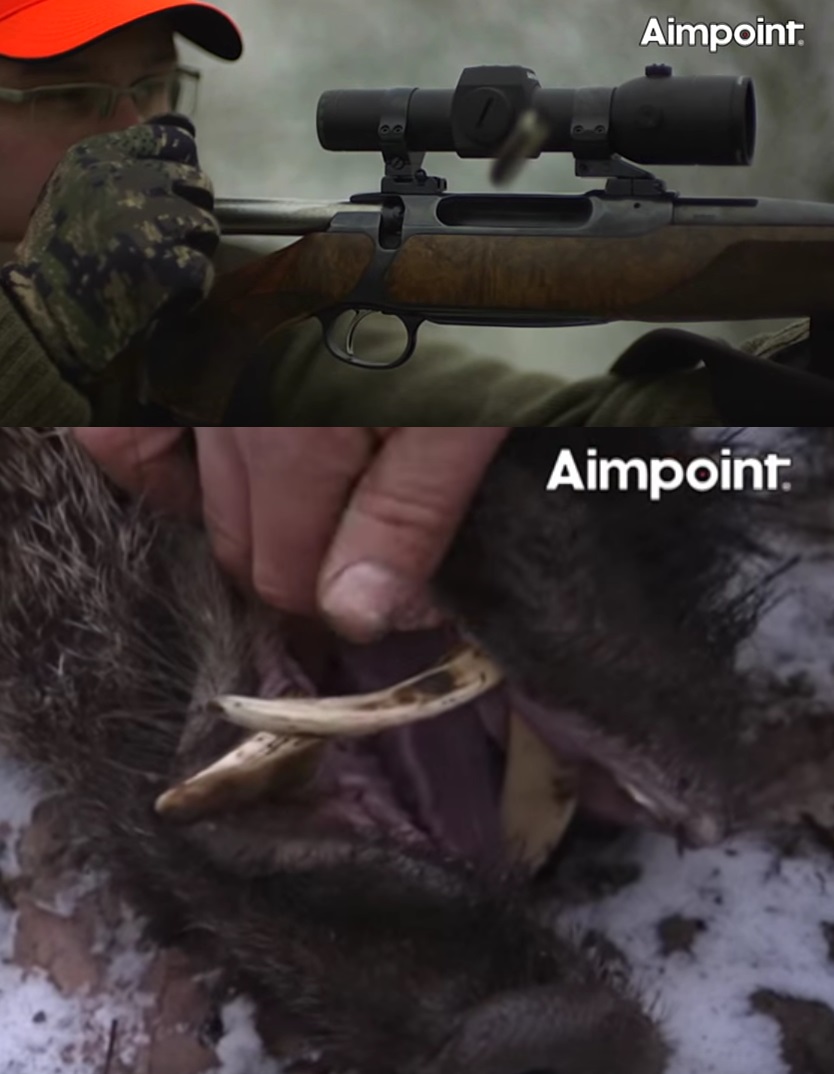 Wild Boar Fever 4 (Crazy Boar Hunt Video From Aimpoint)