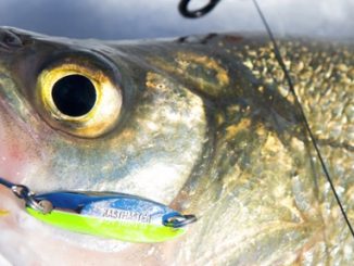 DROP AN ACME SPOON THROUGH THE ICE TO TARGET WINTER TROUT, PANFISH AND WALLEYE