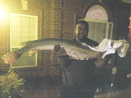 Mississippi Longnose Gar Caught, Is A World Record