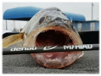 Myriad series of fishing rods from Denali