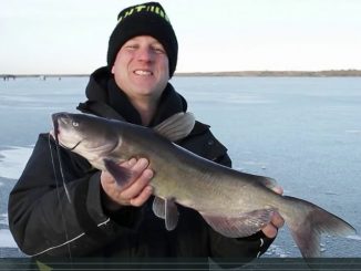 Pop-Up Pike, Walleye and Catfish with Tom Gruenwald Outdoors