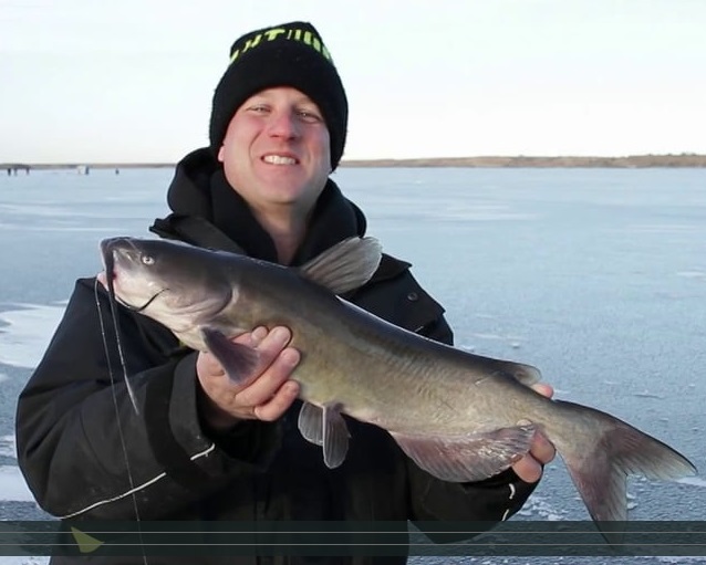 Pop-Up Pike, Walleye and Catfish with Tom Gruenwald Outdoors