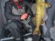Walleye Under The Ice - Rattle baits, flutter spoons and swim lures