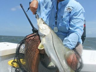 Florida Guide Association February 2017 Newsletter