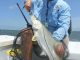 Florida Guide Association February 2017 Newsletter