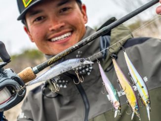 Megabass USA, How to choose jerkbait colors