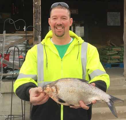 State-record gizzard shad landed in Missouri