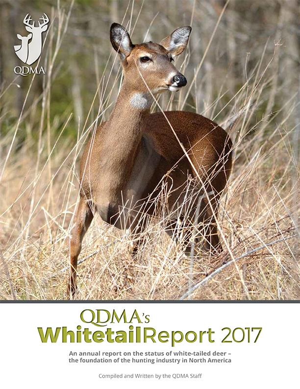 U.S. Hunters Take More Mature Bucks Than Yearlings for Second Year in a Row
