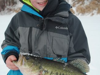 VARIOUS FISH THROUGH THE ICE