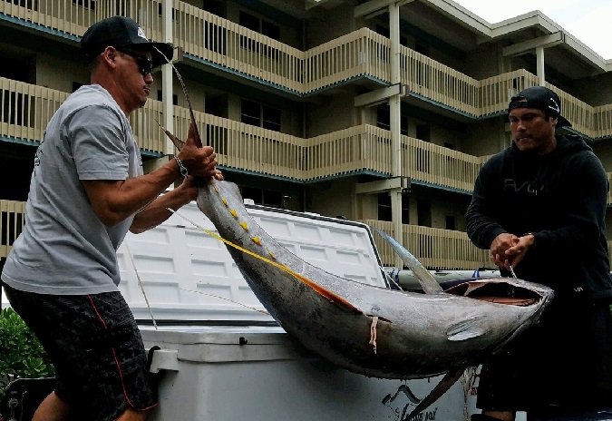 162-Pound Yellowfin Caught Aboard a Hobie Mirage 