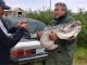 83 lb lake trout