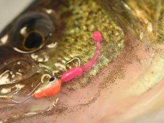 Add Balance Your Early Season Fishing Plan 1