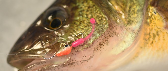 FISKAS: Add Balance Your Early Season Fishing Plan