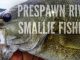 Get Ahead of the Pre-Spawn River Bass