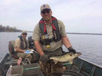 Mille Lacs business owners say walleye strife is politics, not biology