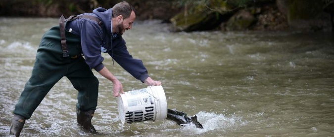 Pennsylvania considers raising cost of fishing licenses