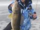 Snyder's Lures Bag A Giant Walleye For Kyle Lynn 1