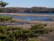 Spot waterfowl from a warm car at Merkle sanctuary