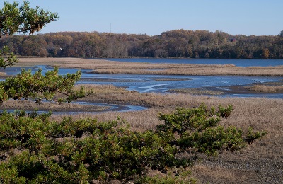 Spot waterfowl from a warm car at Merkle Wildlife Sanctuary