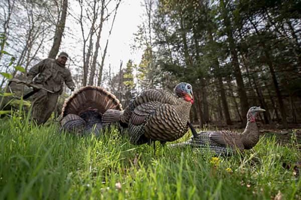 Strut To A New Avian-X Jake Turkey Decoy