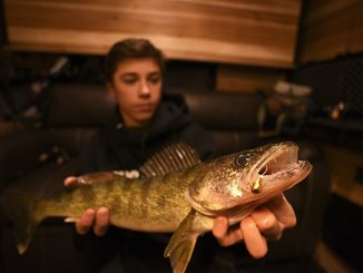 The Best Little Walleye Jigs You May Not Have Heard Of